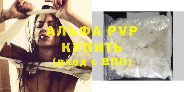 прущие грибы Сатка