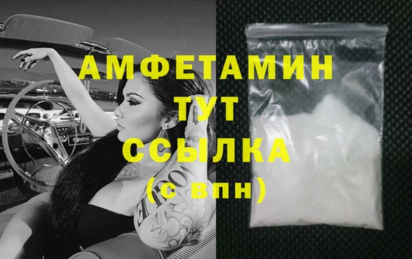 прущие грибы Балахна