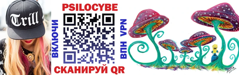 Псилоцибиновые грибы мицелий купить наркотики сайты МЕГА ССЫЛКА Петухово